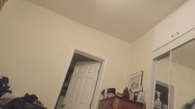 Beardedveteran's Profile