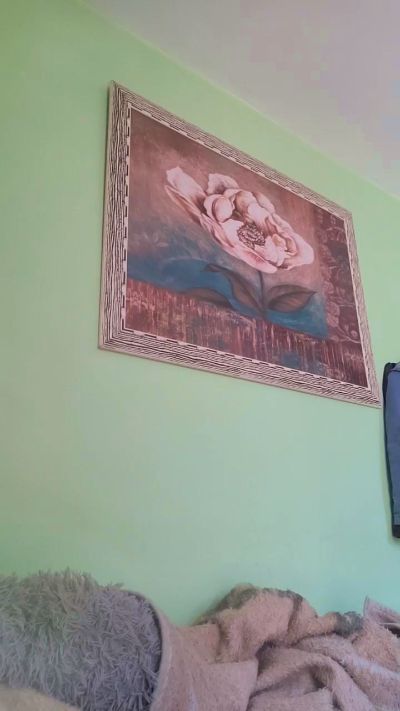 Bhsd's Profile