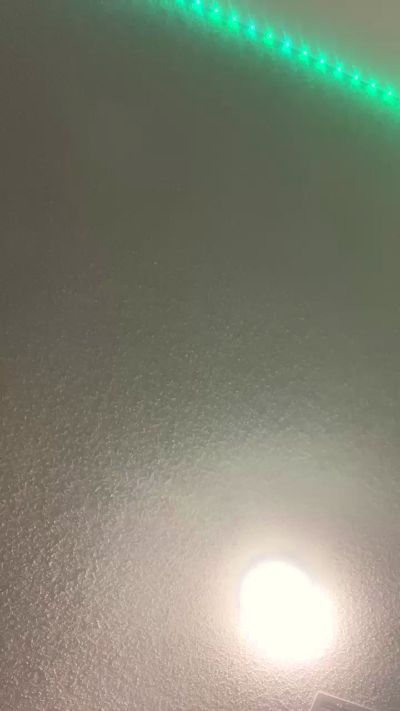Buzz_Bunni_Bit's Profile
