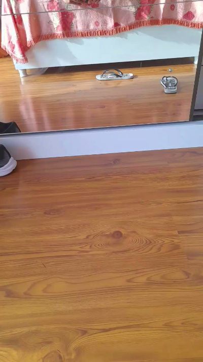 Curitibacent's Profile