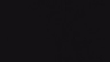 Danilo89sc's Profile