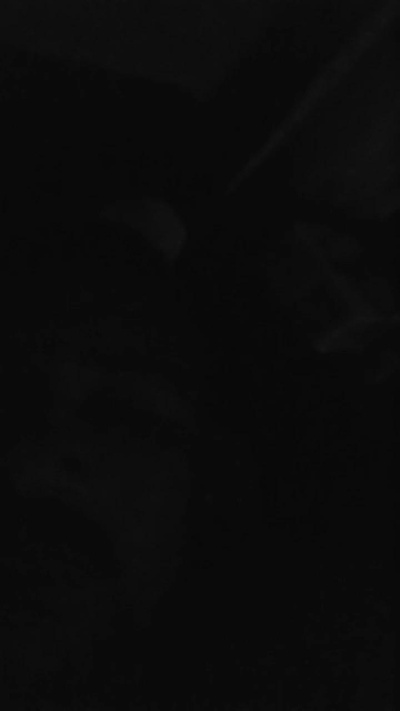 JAk198's Profile