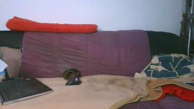 Nacktiv's Profile