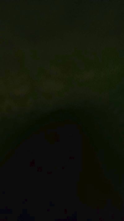 Perez_24's Profile