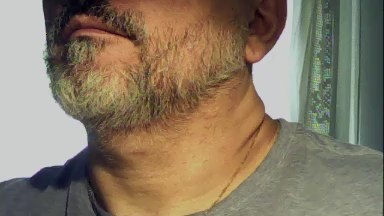 VVontade's Profile