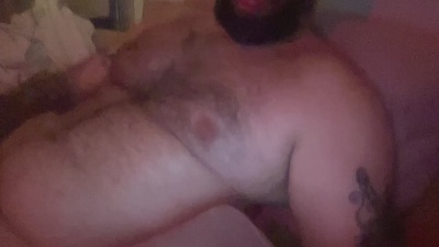 bear3393's Profile