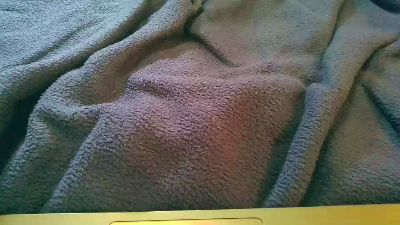 bigant0xl's Profile