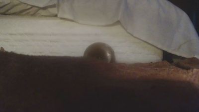 buttstufferx5's Profile