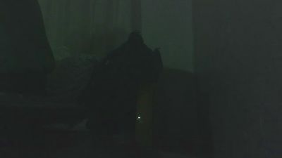dbudurb's Profile