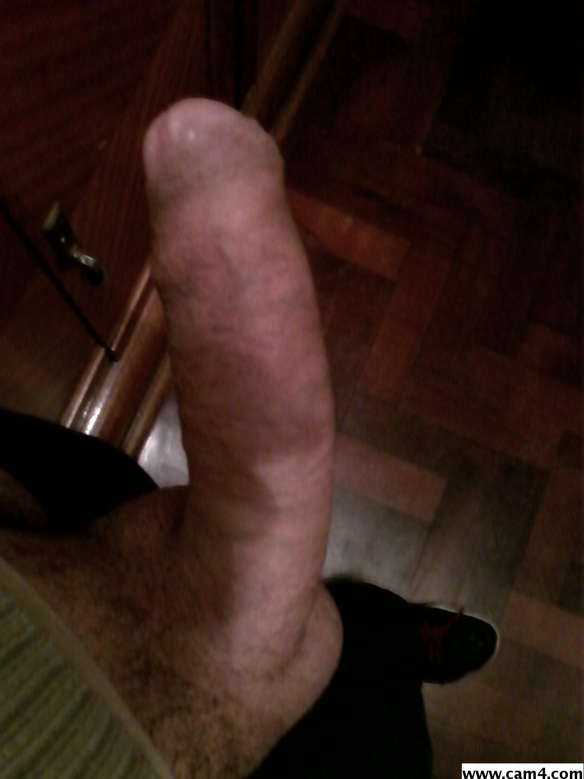gaston174's Profile