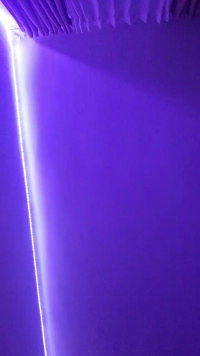 tamaratrans2's Profile